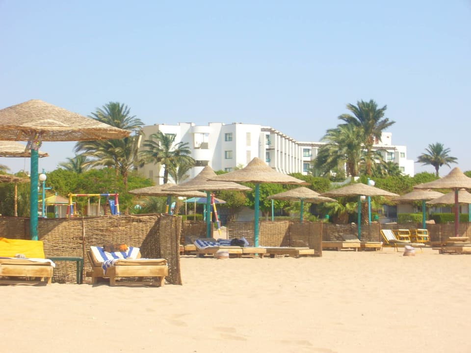 Duzo lezakow Shams Safaga Resort
