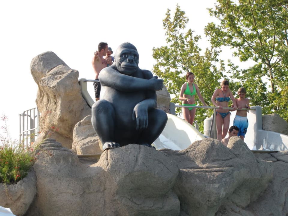 Ochrona basenu Alba Resort Hotel