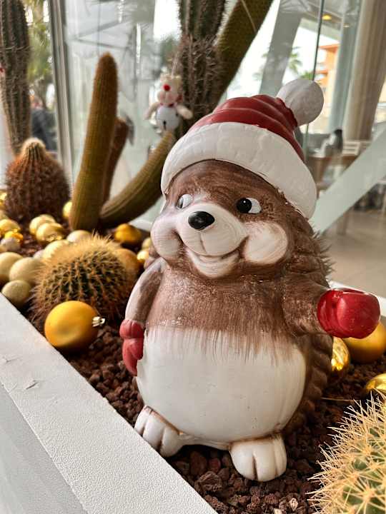 Gartenanlage Hotel Riu San Francisco - Adults only