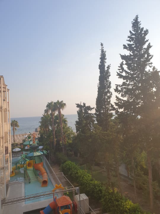 Zimmer PALOMA Perissia