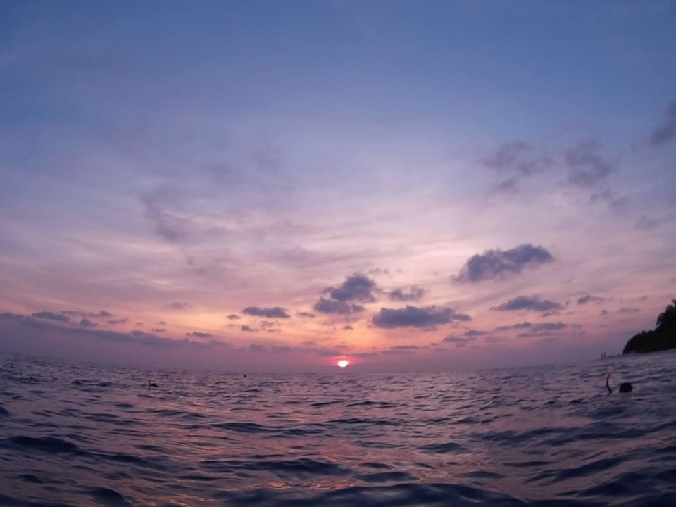 Halb Sechs, morgens. Schnorcheln mit den Haien Adaaran Club Rannalhi - All Inclusive