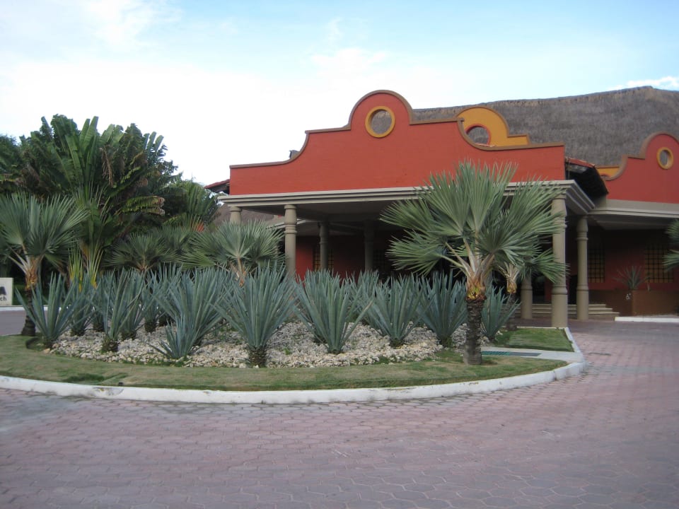 Der Haupteingang Catalonia Playa Maroma