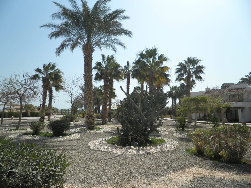 Sehr gepflegt Lotus Bay Beach Resort