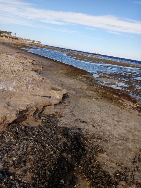 Strand Parrotel Beach Resort