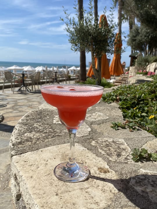 Gastro Arum Barut Collection