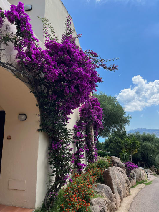 Außenansicht Hotel Stelle Marine