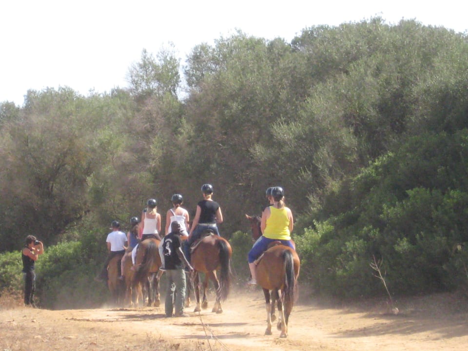 Ausreiten THB Gran Bahía