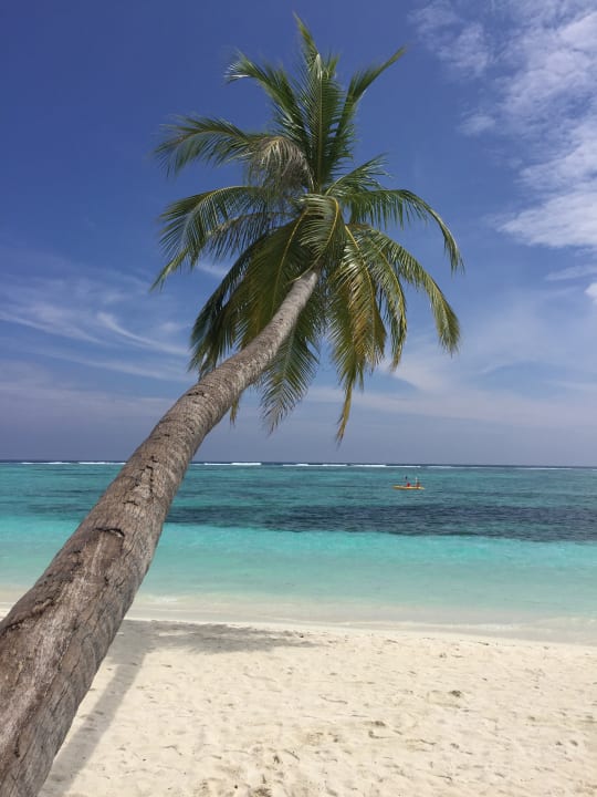 Strand Meeru Maldives Resort Island