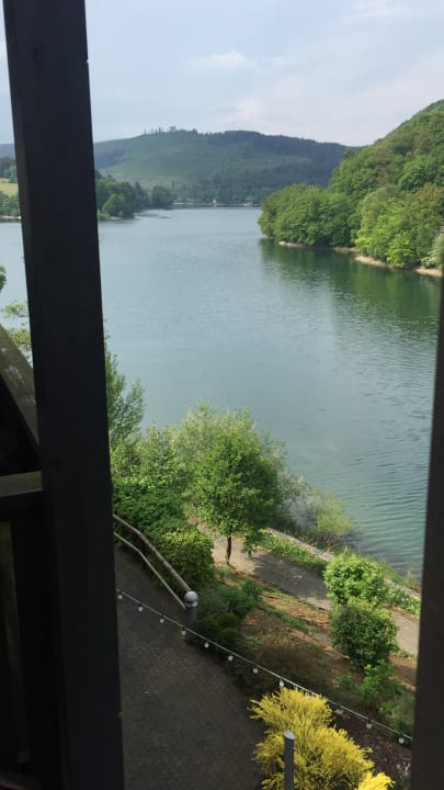 Ausblick Göbel's Seehotel Diemelsee