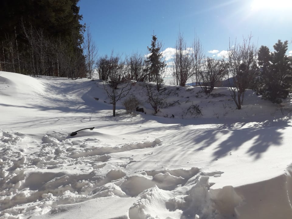 Ausblick Naturhotel Bauernhofer
