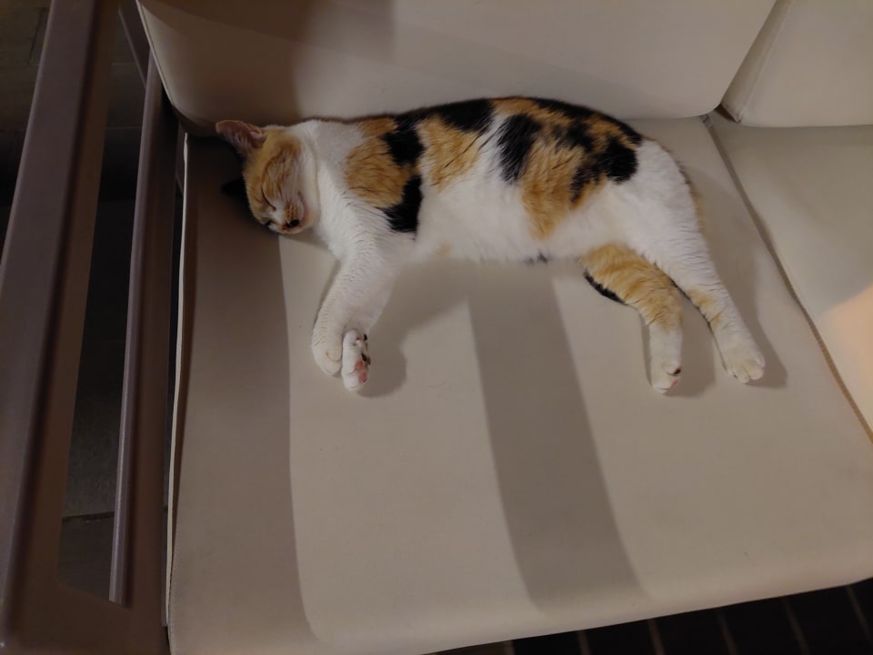 Sonstiges Seaden Quality Resort & Spa