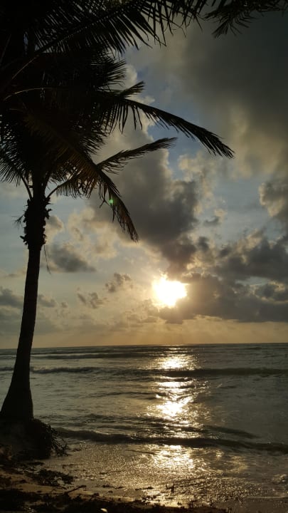 Sonnenaufgang Strand Sandos Caracol Eco Resort & Spa Select Club Adults only - All Inclusive