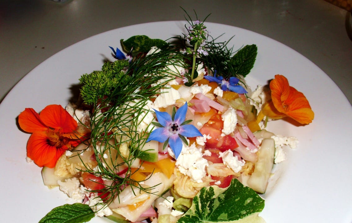 Märchenland- Salat Pension Märchenland