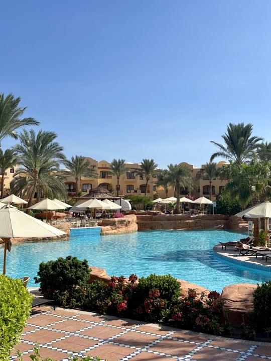 Pool Steigenberger Coraya Beach - Adults only