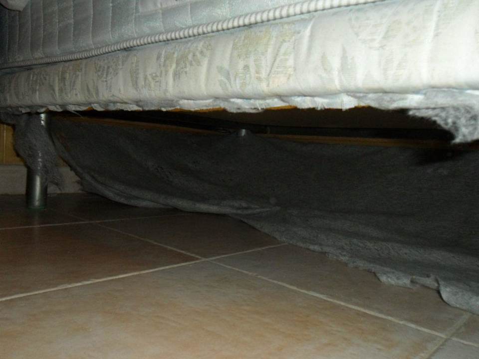 Bett Hotel Parque Cristina