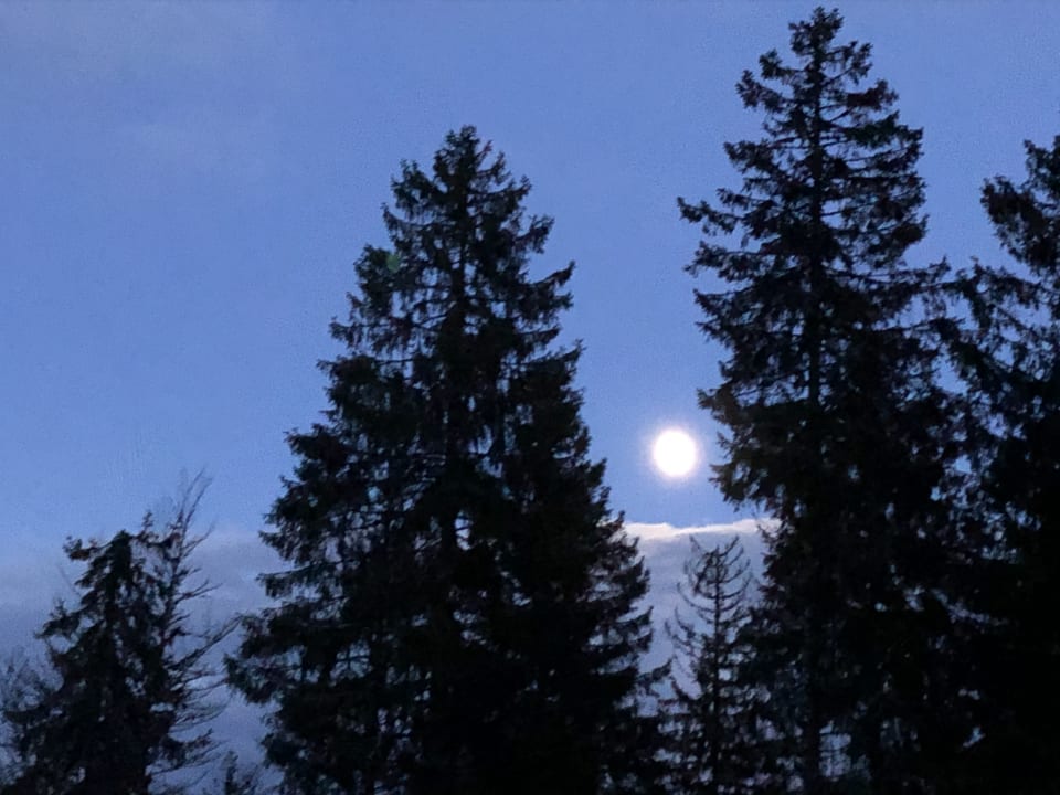 Ausblick Naturhotel auf Gut Lilienfein