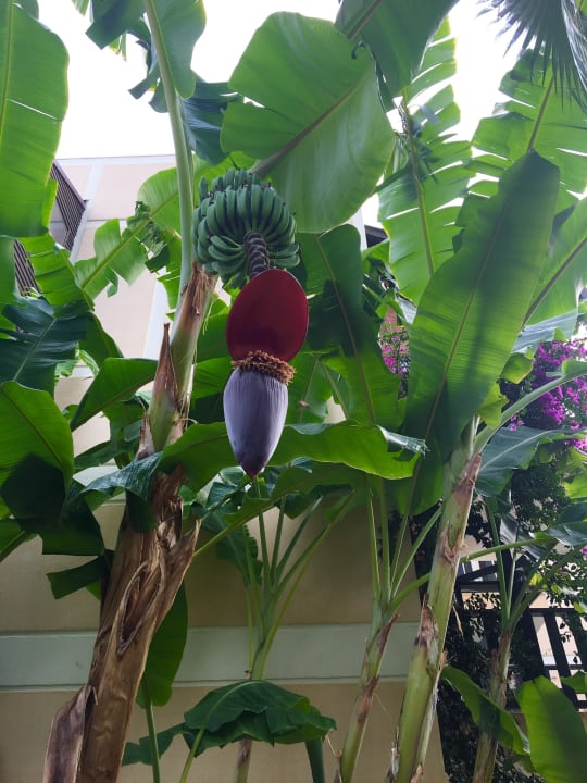 Außenansicht Limak Limra Hotel & Resort