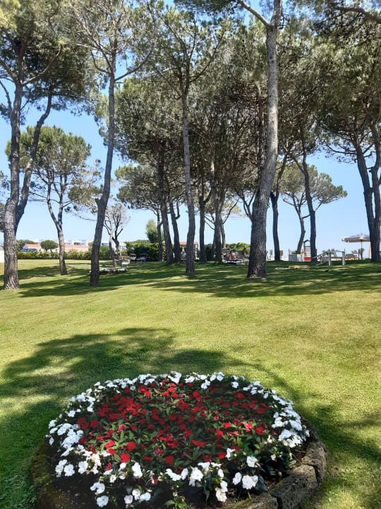 Gartenanlage Hotel San Giorgio