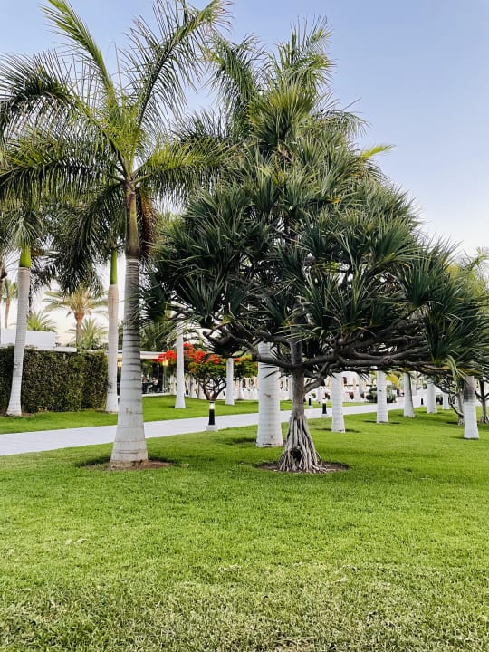 Gartenanlage Hotel Riu Palace Meloneras