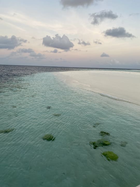 Strand Summer Island Maldives