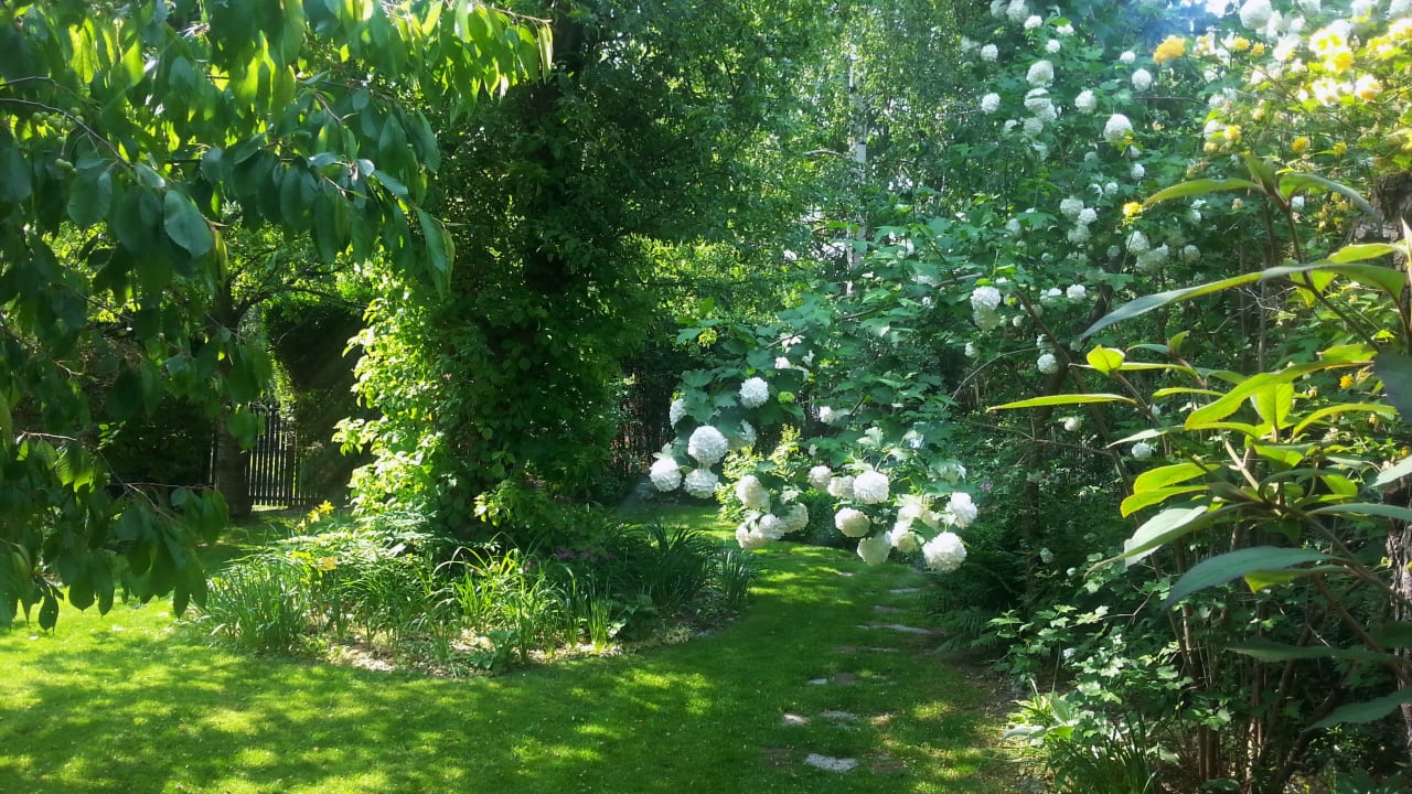 Gartenanlage Słoneczny Apartament