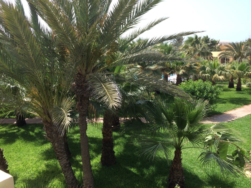 Gartenanlage 4 The Ksar Djerba Charming Hotel & SPA