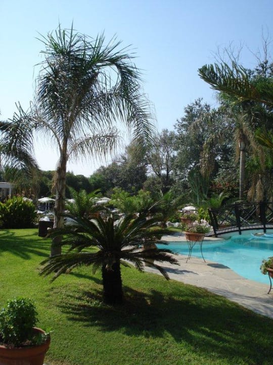 Gartenanlage Hotel Calypso Beach