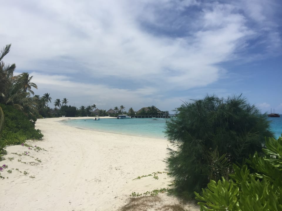 Strand Safari Island Maldives