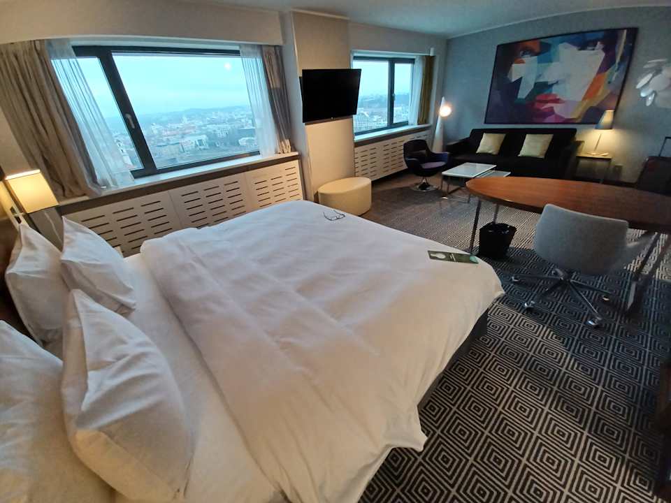 Zimmer Hotel Radisson Blu Lietuva