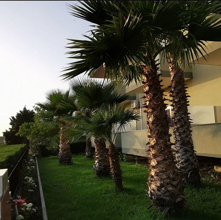 Gartenanlage Hotel Jaho