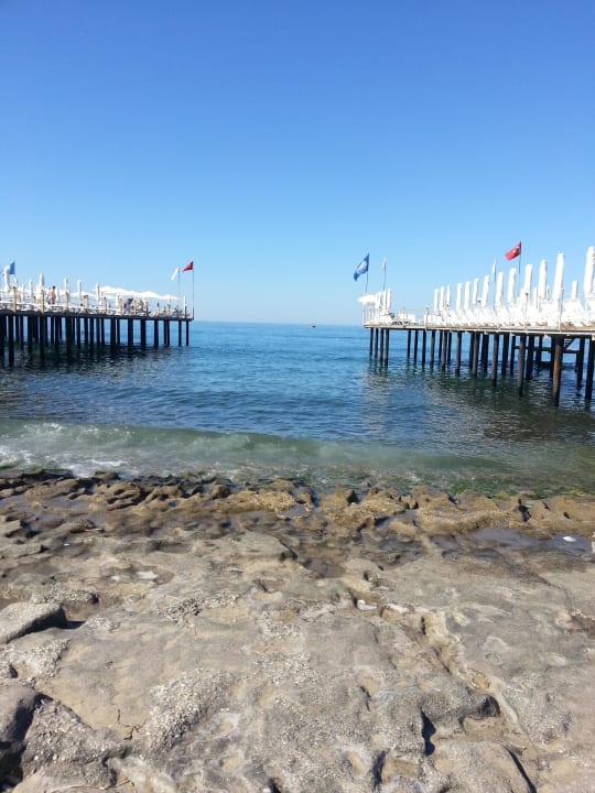 Steg Dizalya Palm Garden