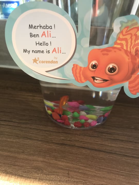 Zimmer Grand Park Lara Hotel