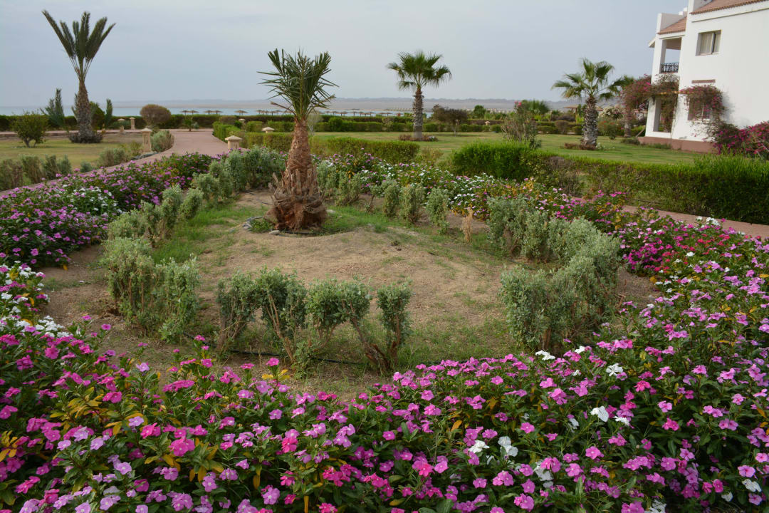 Schöne gepflegte Gartenanlage Lahami Bay Beach Resort