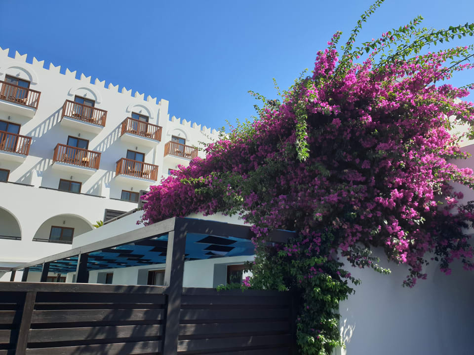 Außenansicht TUI BLUE Oceanis Beach and Spa Resort