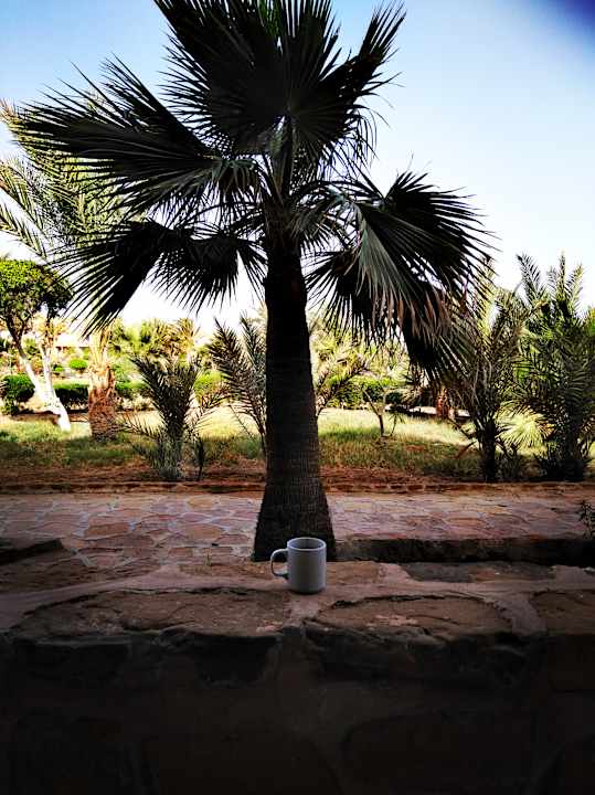 Gartenanlage Pensée Royal Garden Beach Resort