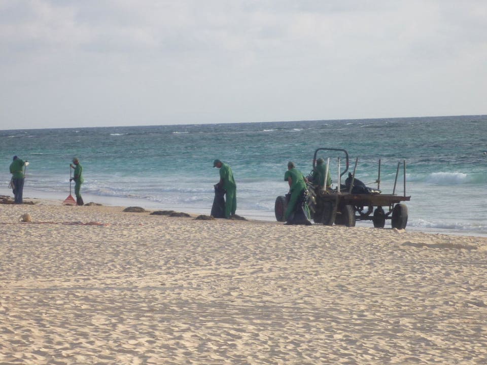 Morgentliche Strandreinigung Punta Cana Princess All Suites Resort & Spa