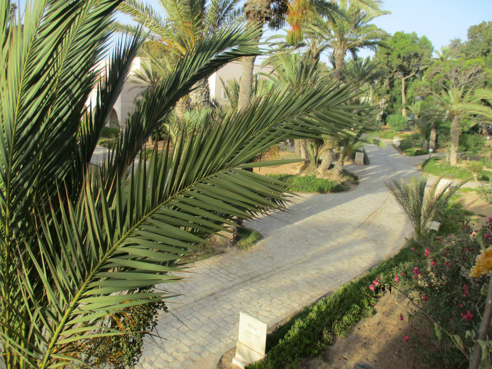 Gartenanlage Zita Beach Resort