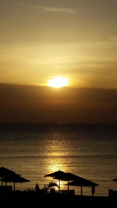Sonnenaufgang Makadi Spa - Adults only