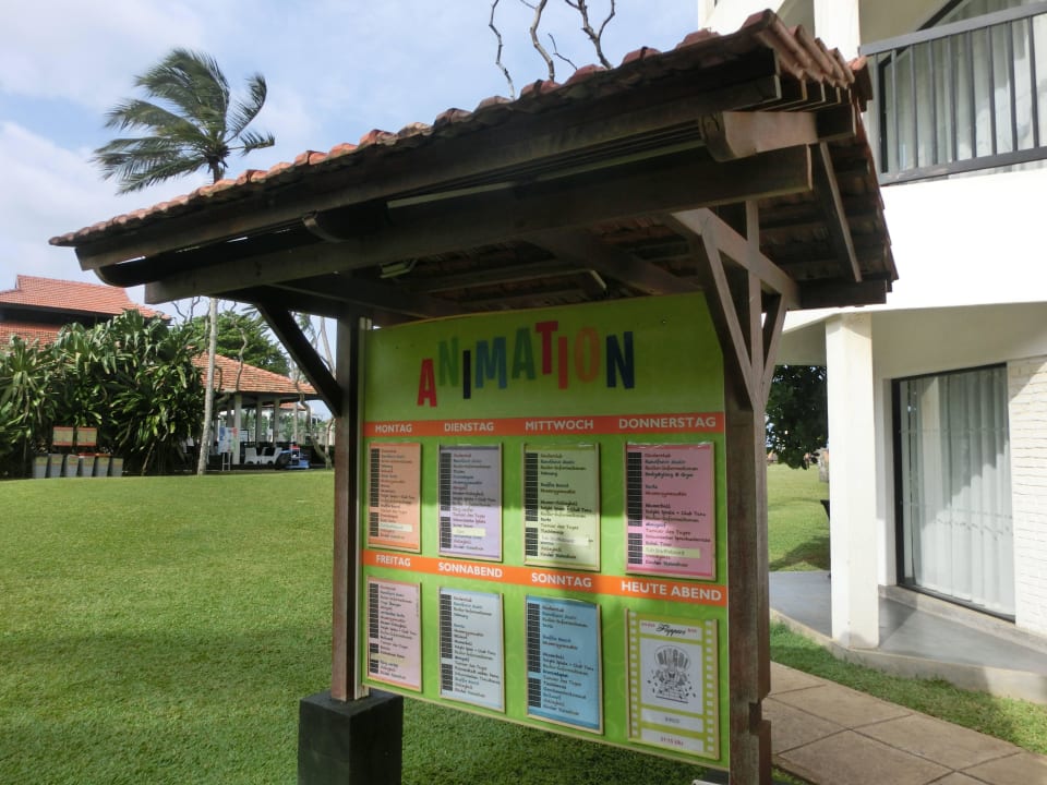 Programm Club Hotel Dolphin