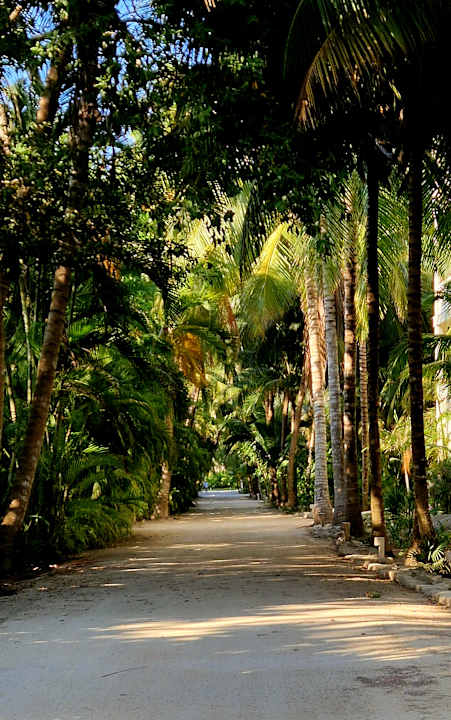 Gartenanlage Akumal Bay Beach & Wellness Resort