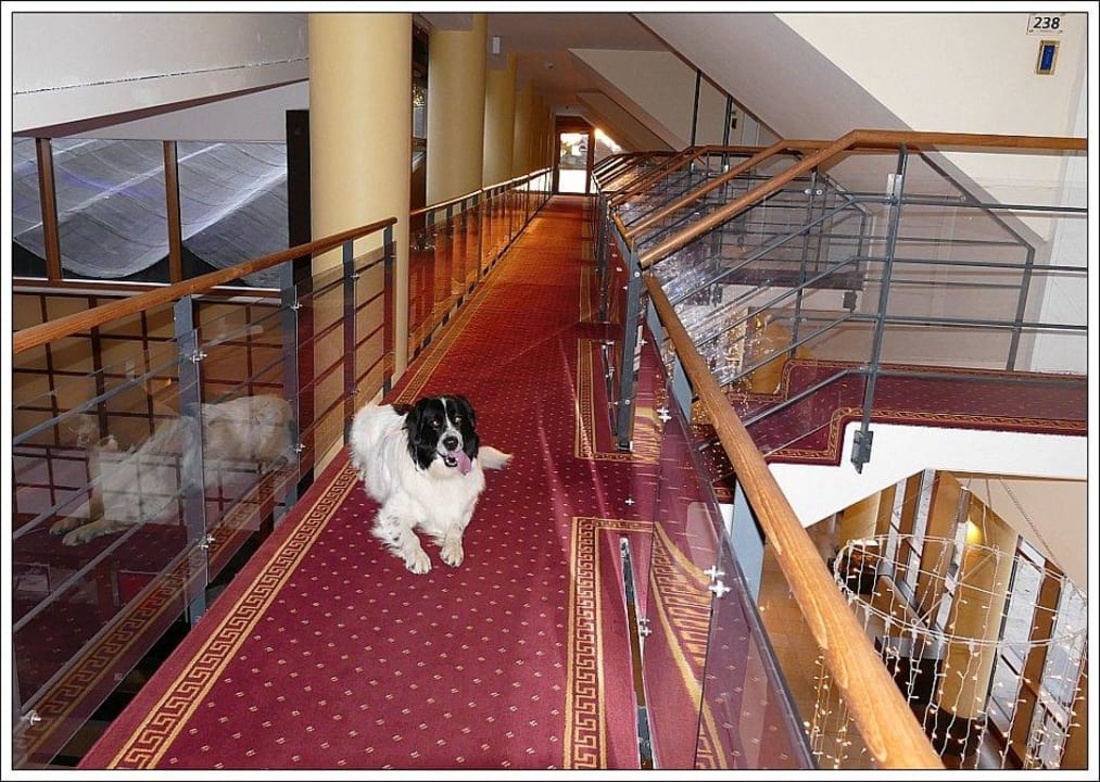 Galerie und Eingang Maisonette Hotel Vier Jahreszeiten Zingst