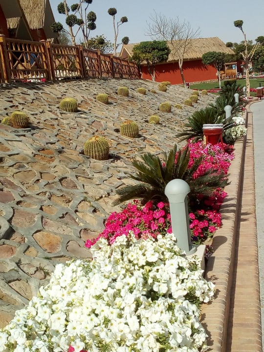 Gartenanlage Pickalbatros Jungle Aqua Park Resort - Neverland Hurghada