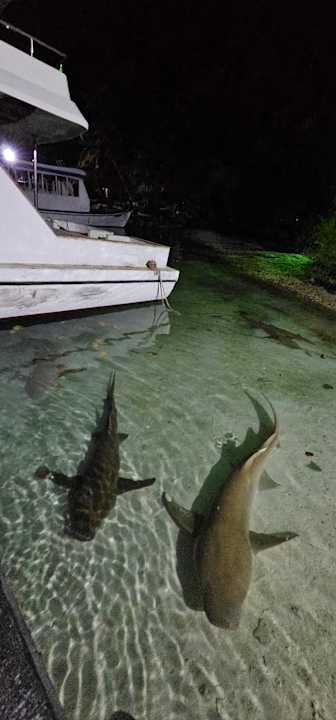 Sonstiges Filitheyo Island Resort
