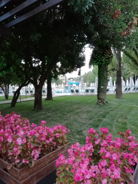 Gartenanlage Barut Hemera