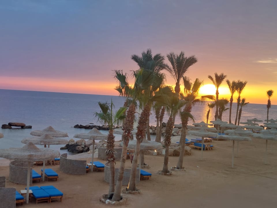 Strand Pickalbatros Citadel Resort