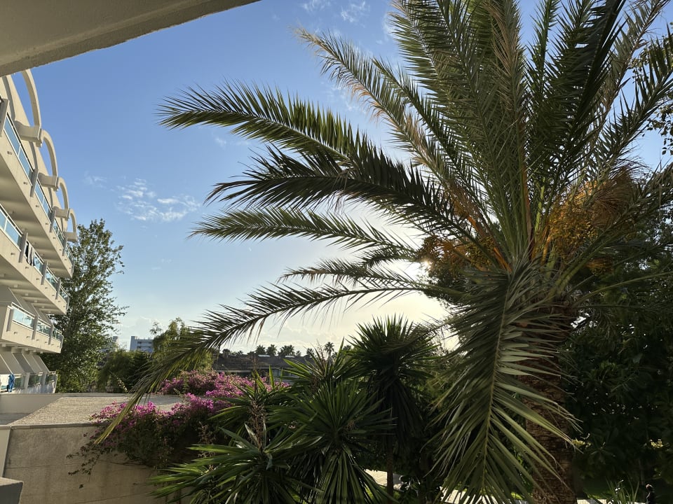 Gartenanlage BG Hotel Rei del Mediterrani Palace