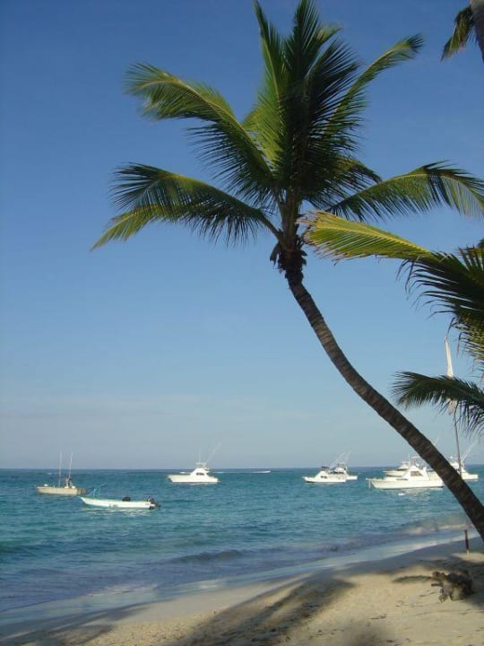 Strandmotiv Hotel Grand Palladium Palace Resort, Spa & Casino