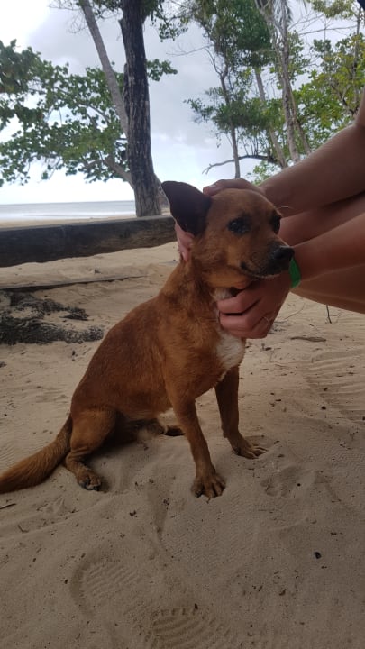 Strand Bahia Principe Grand El Portillo