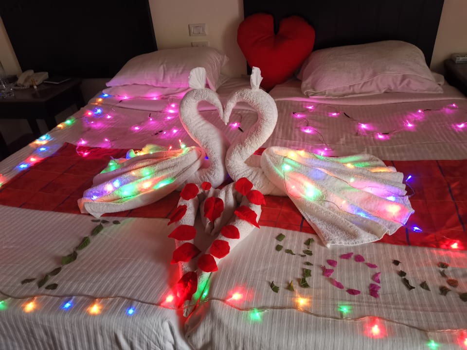 Zimmer Three Corners Sea Beach Resort