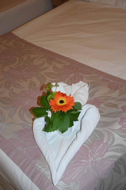 Danke an das Zimmermädchen !! Can Garden Resort